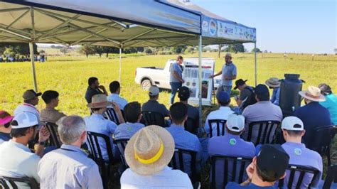 Apoio Da Secretaria De Agricultura Produtores Rurais Goioerenses