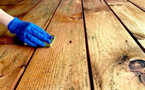 Solved: How to Remove/ Kill Mold on Wood - Easy & Quick