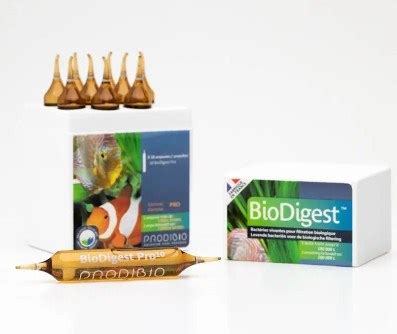 Prodibio BIO DIGEST PRO10 гипер-концентрированное бактериальное ...