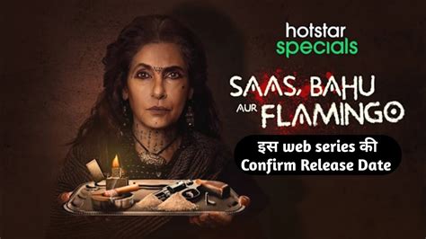 Saas Bahu Aur Flamingo Ott Release Date Saas Bahu Aur Flamingo