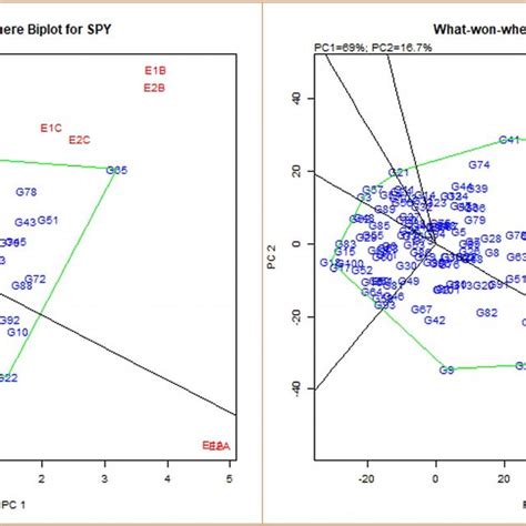 Polygon Views Of The GGE Biplot Based On Symmetrical Scaling For