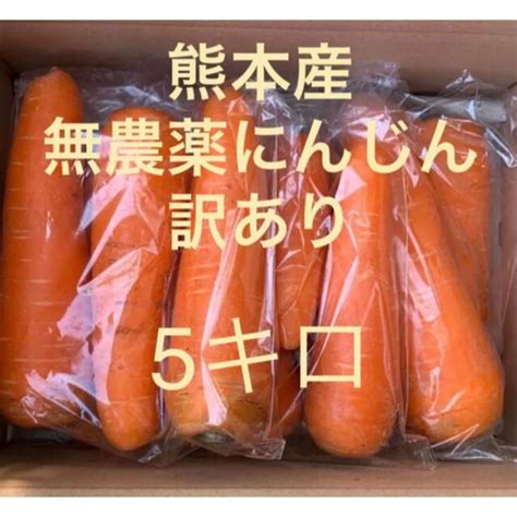 熊本産無農薬にんじん訳あり5キロの通販 By ななこs Shop｜ラクマ