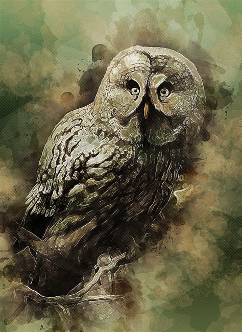 400+ Free Owl Art & Owl Images - Pixabay