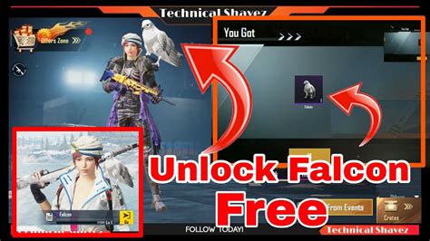 How To Unlock Companion In PUBG Mobile How To Get Companion Falcon