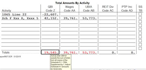 How To Fill Out 199a Worksheet By Activity