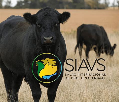 Doze Exportadores De Carne Bovina Confirmam Presen A No Siavs