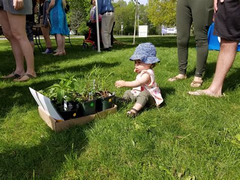 2024 Native Plant Sale Fundraiser Genesee Land Trust