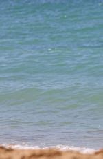 ELIZABETH TURNER In Bikini On The Beach In Hawaii 09 10 2017 HawtCelebs