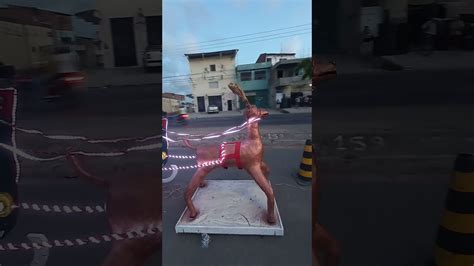 Mais Uma Criatividade Minha Inspirada No Natal Avenida Os Rio De Paiva