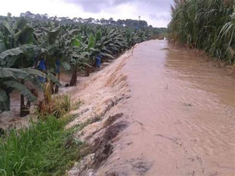 Fuertes Lluvias Provocan Inundaciones En El Caribe De Costa Rica