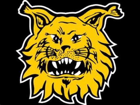 M Div Playoff Ilves Ii Vs Nokian Krp Iii Spiral Halli Youtube