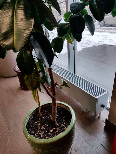 Напольные конвекторы Varmann MiniKon Показатели теплоотдачи и ...