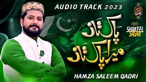 Pakistan Mera Pakistan Audio Track🎶 14 August Tarana Mili Nagma