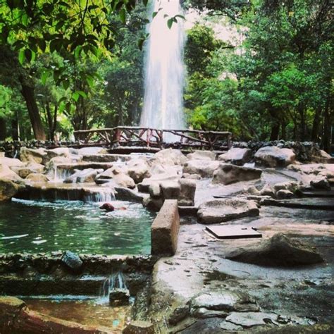 Parque México, un emblema de la colonia Hipódromo Condesa