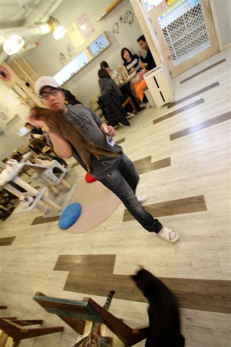 Gloryhole Gay Cum Swallow Lawyergagas