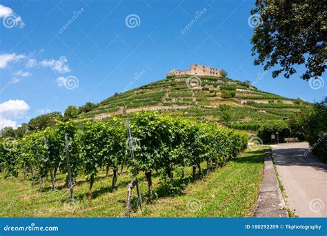 Beautiful View Of The Ruins Of The Castle In Staufen Im Breisgau