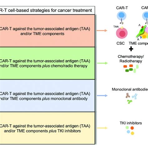 Potential strategies to overcome CAR-T cell-based therapies ... 
