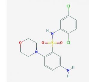 5 Amino N 2 5 Dichloro Phenyl 2 Morpholin 4 Yl Benzenesulfonamide