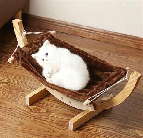 How to Choosing the Best Cat Bed For Your Pet: Best Guide - Atbuz