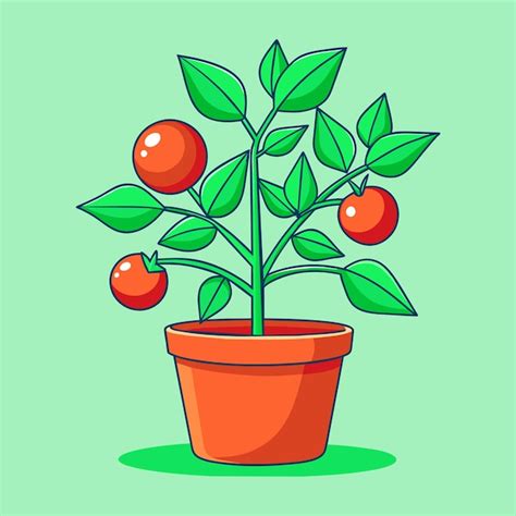 Un Tomate Dans Une Illustration Vectorielle En Pot Vecteur Premium