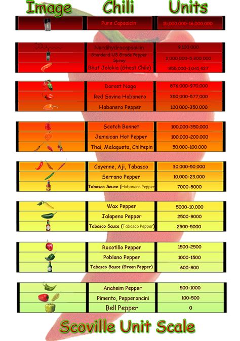 Woman and Friend vs Food USA: The Phaal Curry - 1,000,000 scoville units