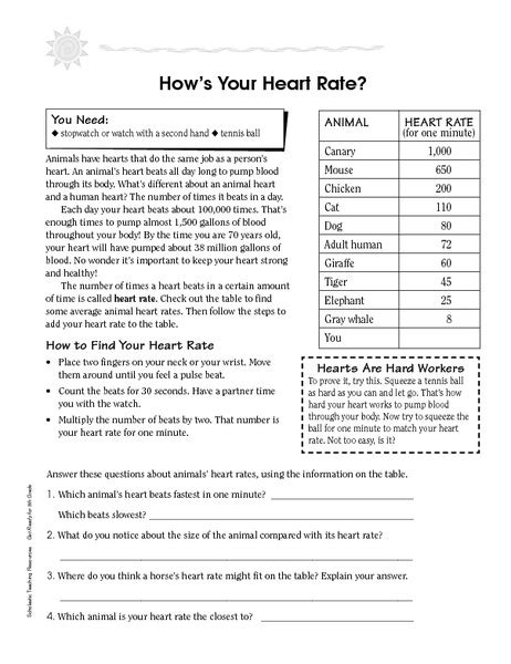 Target Heart Rate Worksheet Ivuyteq