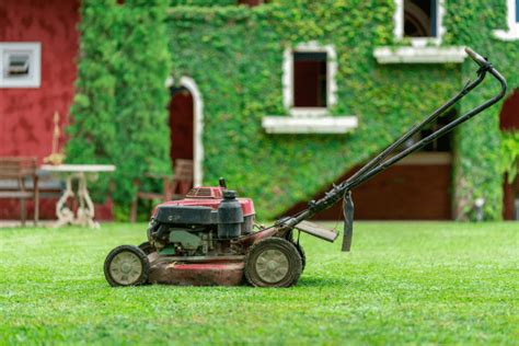 What Does Mulching Mean When Mowing At Mildred Everett Blog