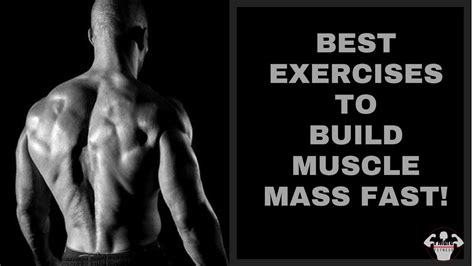 Best Exercises To Build Muscle Mass Fast L Pmdre Fitness Youtube