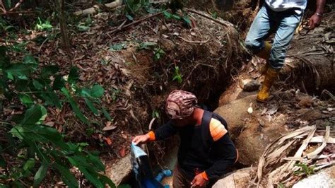 Menertibkan Tambang Liar Bukit Menumbing Lewati Jalan Curam Terjal