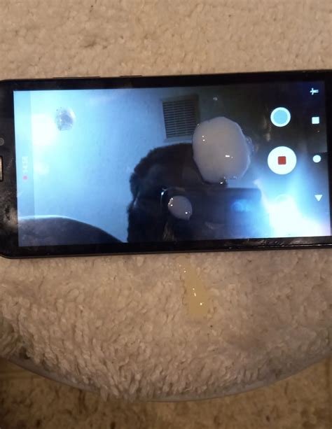 Thumbnail For Masturbated Right By Toilet Seat In Point Nude Pics Xhamster