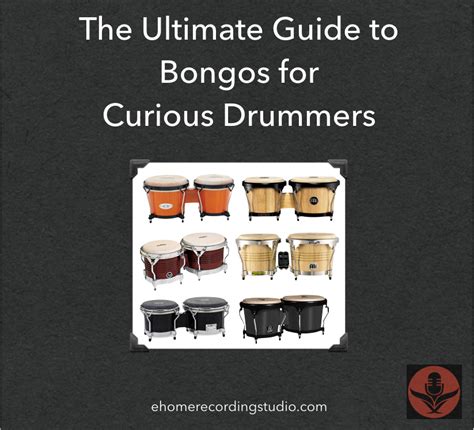 Bongos The Ultimate Buyers Guide For Musicians