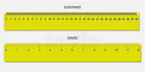 Réguas Marcadas Nos Centímetros E Nas Polegadas Ilustração do Vetor