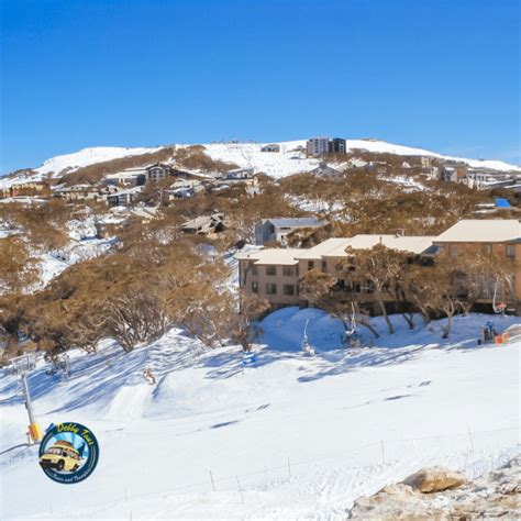 Mount Buller Snow Trip Debby Tours And Transfers