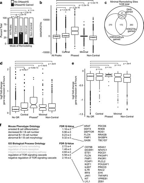 Modes Of Nucleosome Remodeling Have Functionally Distinct Effects On