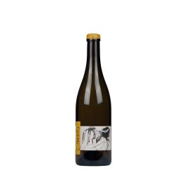 Domaine Yves Cuilleron Vin Blanc Sec 2019 La Petite Côte AOC Condrieu