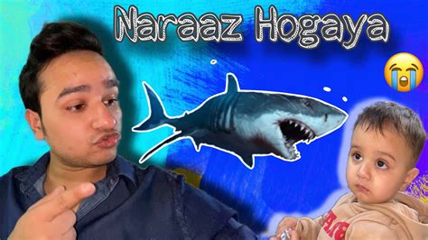 Basil Ko Khatarnaak Shark Fishgift Kardi Mai Ny Fish Sy Dara Diya