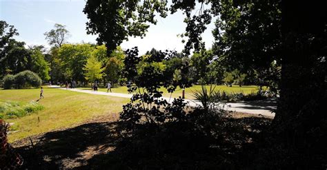 People Walking in a Park During Daytime Free Stock Video Footage ...