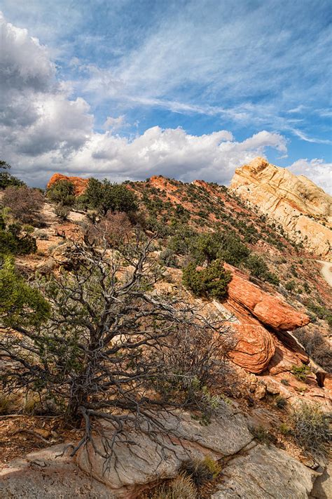 Top of the Monocline Photograph by Kathleen Bishop - Pixels