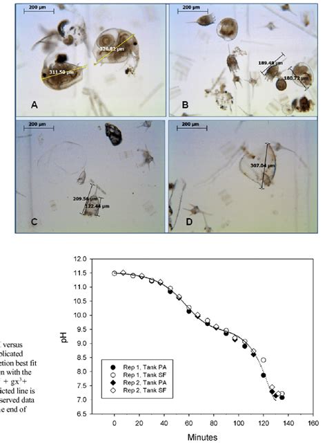 Composite Of Photomicrographs Of Representative Zooplankton Species