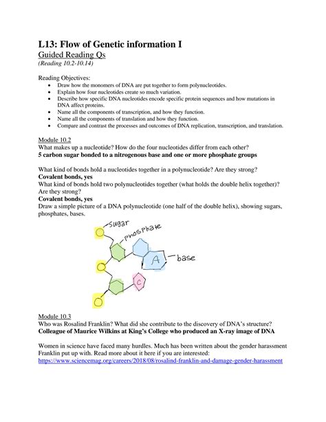 SOLUTION Lesson 13 Grqs Flow Of Genetic Information Part 1 Studypool