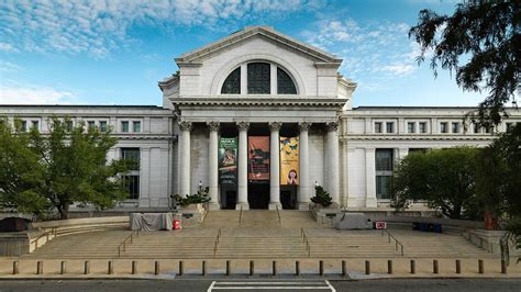 National Museum of Natural History - Washington DC - Novus Laurus Cultural