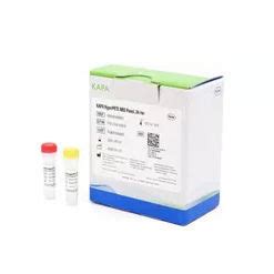 Kit De Reactivos Adn Polimerasas Kapa Hifi Roche Sequencing