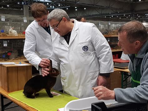 Bundes Kaninchenschau In Leipzig Kaninchenzeitung