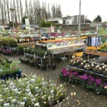 Assortiment Tuincentrum GroenRijk In Rijswijk