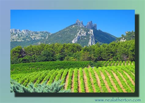 French Wine Uncorked French Travel Books France Paris Provence And French Food And Wine