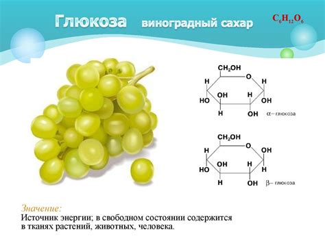 Углеводы. Строение и функции - презентация онлайн