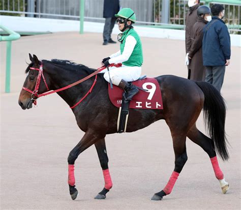 【注目馬動向】エヒト、サウジ遠征へ レッドシーターフhの招待受諾 スポーツ報知