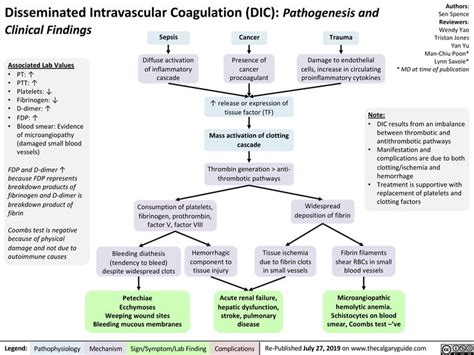 Disseminated Intravascular Coagulation Dic Calgary Guide