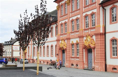 Berufsorientierung Zahlreiche Fachleute Informieren Im Pr Mer Gymnasium