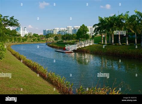 view  punggol waterway park  park  punggol  residential area